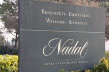 Пенедес. Nadal Cava