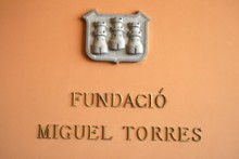 Пенедес. Винодельня Miquel Torres в Pacs del Penedes. Bodega Waltraud.